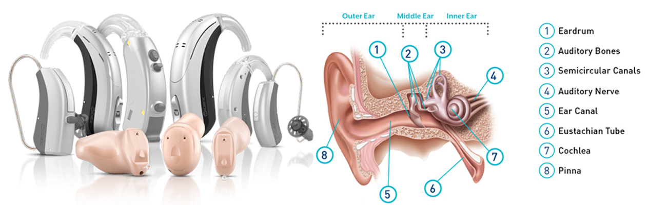 Phonak Hearing Aids Different Models And Hearing Loss Products 8272