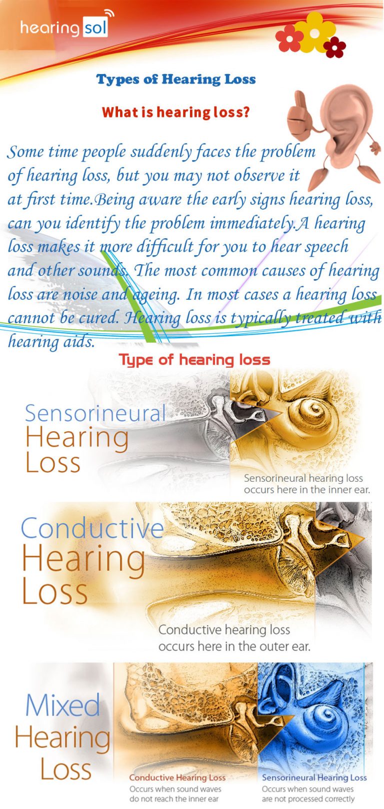 Types of Hearing Loss Infographics