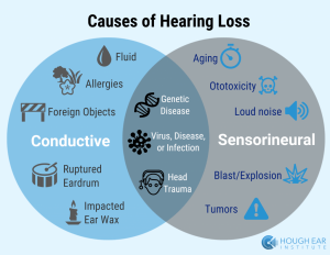 bilateral hearing loss causes