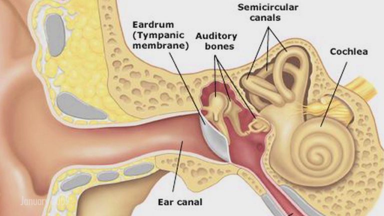 ruptured-eardrum-perforated-eardrum-know-best-treatment